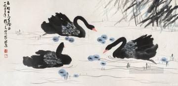 monochrome black white Painting - Wu zuoren black swans traditional China